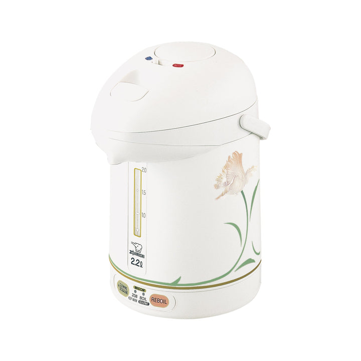 Micom Super Boiler CW-PZC22/30 G6